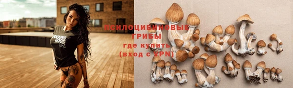 каннабис Нефтекумск