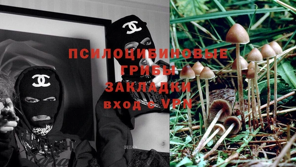 каннабис Нефтекумск