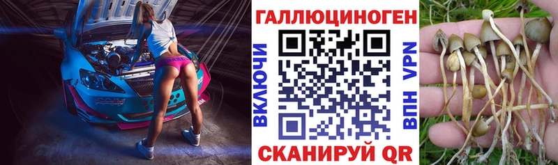 Псилоцибиновые грибы мухоморы  Калининград 